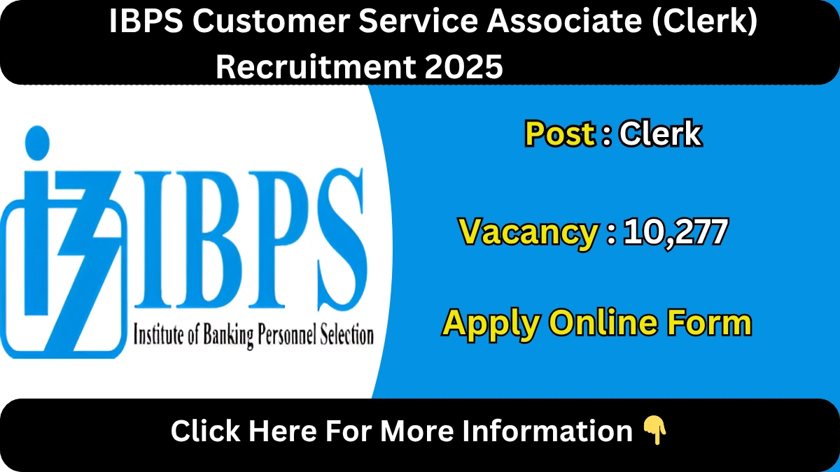 IBPS Customer Service Associate (Clerk) Recruitment 2025
